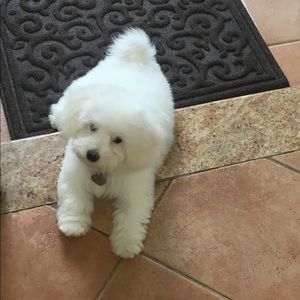 Meet your Posher, Mini Me